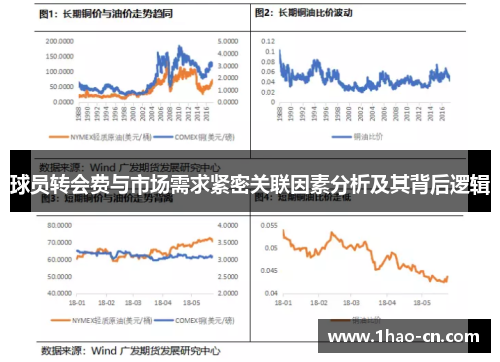 球员转会费与市场需求紧密关联因素分析及其背后逻辑