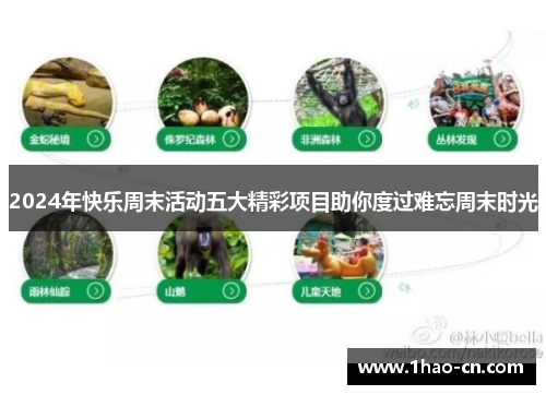 2024年快乐周末活动五大精彩项目助你度过难忘周末时光