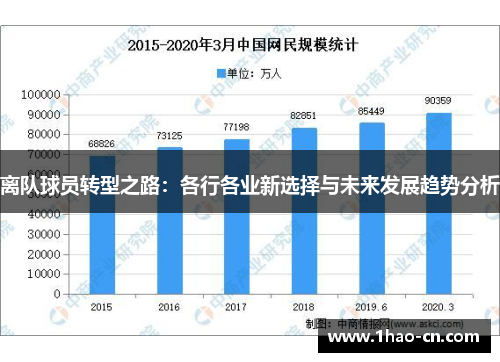 离队球员转型之路：各行各业新选择与未来发展趋势分析