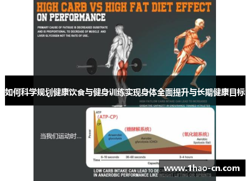 如何科学规划健康饮食与健身训练实现身体全面提升与长期健康目标