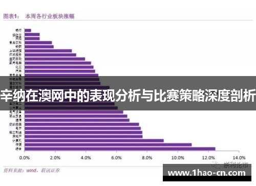 辛纳在澳网中的表现分析与比赛策略深度剖析