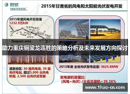 助力重庆铜梁龙连胜的策略分析及未来发展方向探讨
